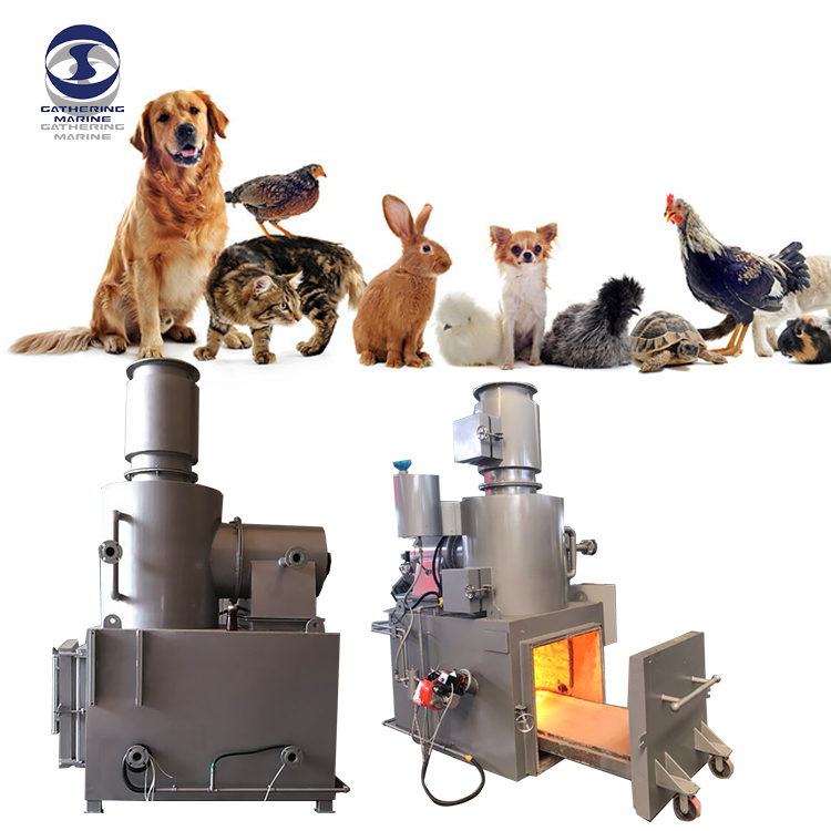 Die Notwendigkeit der Verbrennung von Haustier- und Geflügelkadavern im Vergleich zur Beerdigung